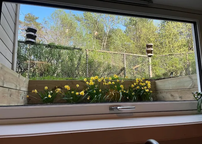 Apartment Cozy Place Near Pulpit Rock